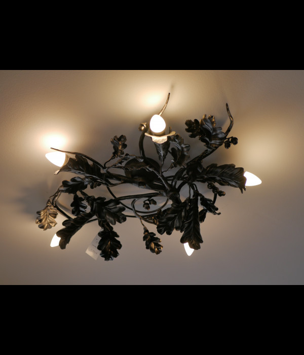 A wrought iron light Oak