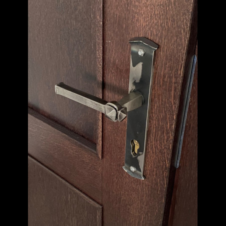 Wrought-iron handles and backplates (DPK-195)